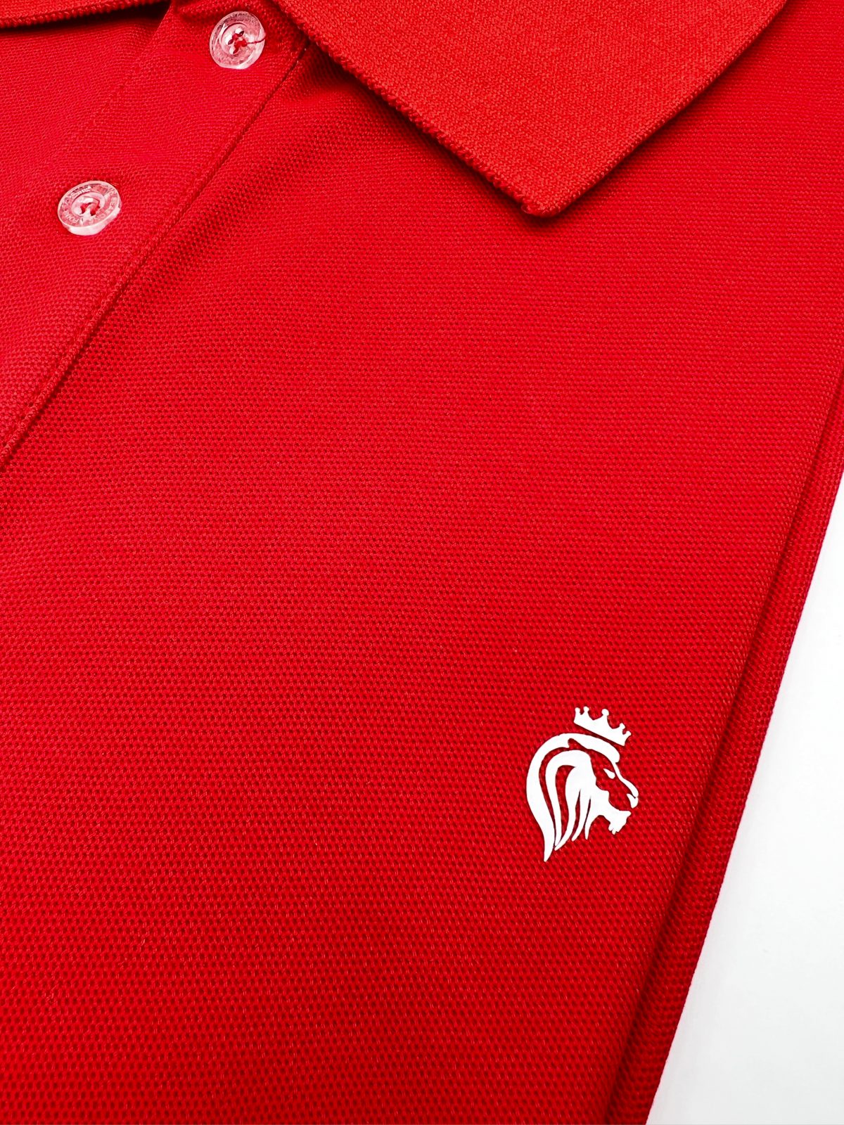 Polo Lion - Imagen 6
