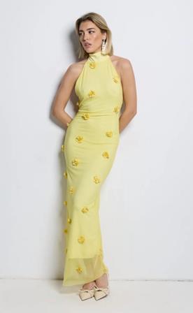 Vestido Tul con Flores en Relieve
